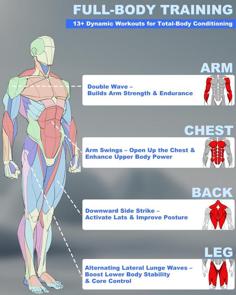 Upgrade Your Workout: 2PCS Weighted Cordless Battle Ropes - 