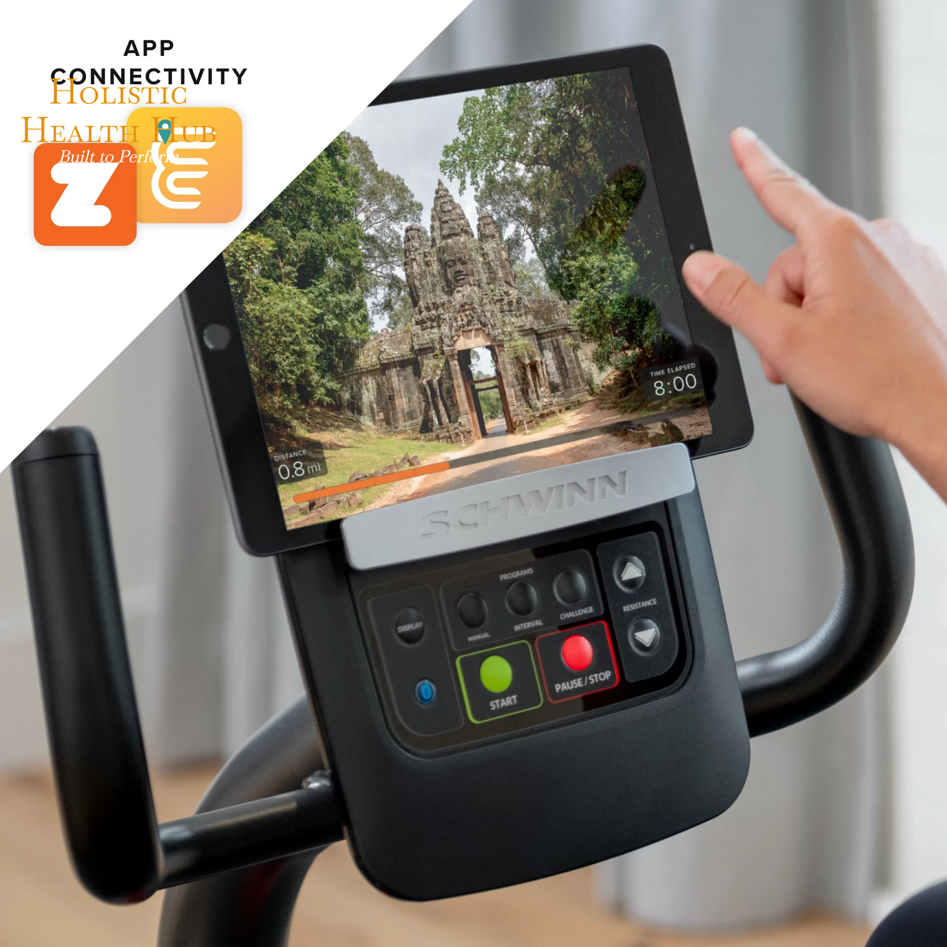 Elevate Your Home Workouts with the Schwinn 230 Recumbent Exercise Bike - Interactive Fitness Awaits!